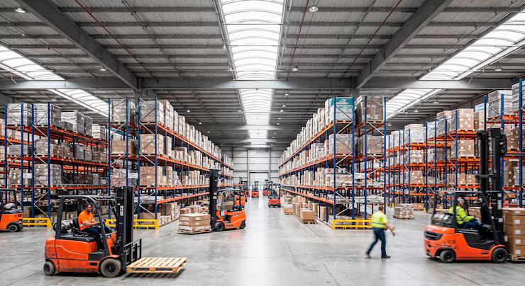 Calypso wholesale warehouse — forklifts and stocked shelving